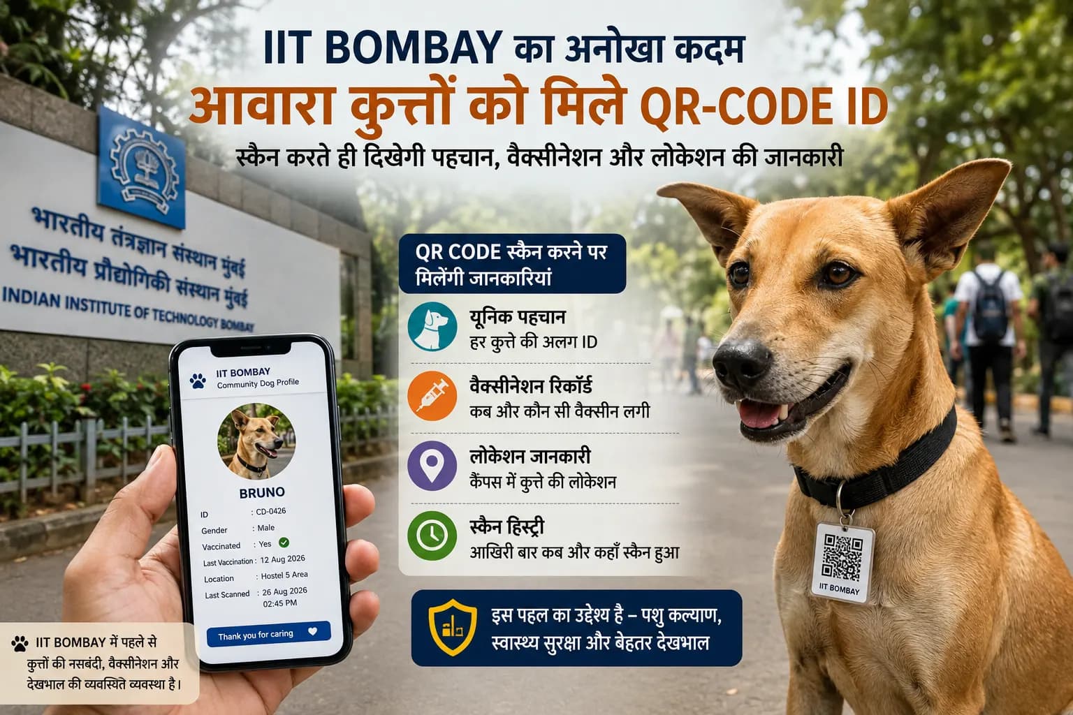 IIT Bombay का अनोखा कदम: आवारा कुत्तों को मिले QR-Code ID, स्कैन करते ही सामने आएगी पूरी जानकारी