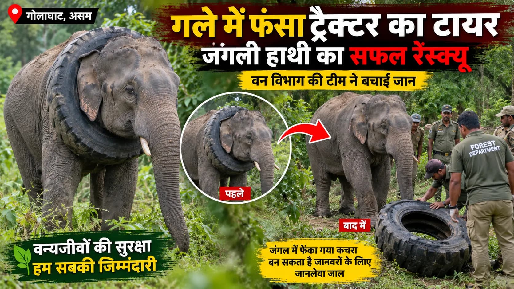 गले में फंसा ट्रैक्टर का भारी टायर, मुश्किल में पड़ा जंगली हाथी; रेस्क्यू के बाद वायरल हुआ वीडियो