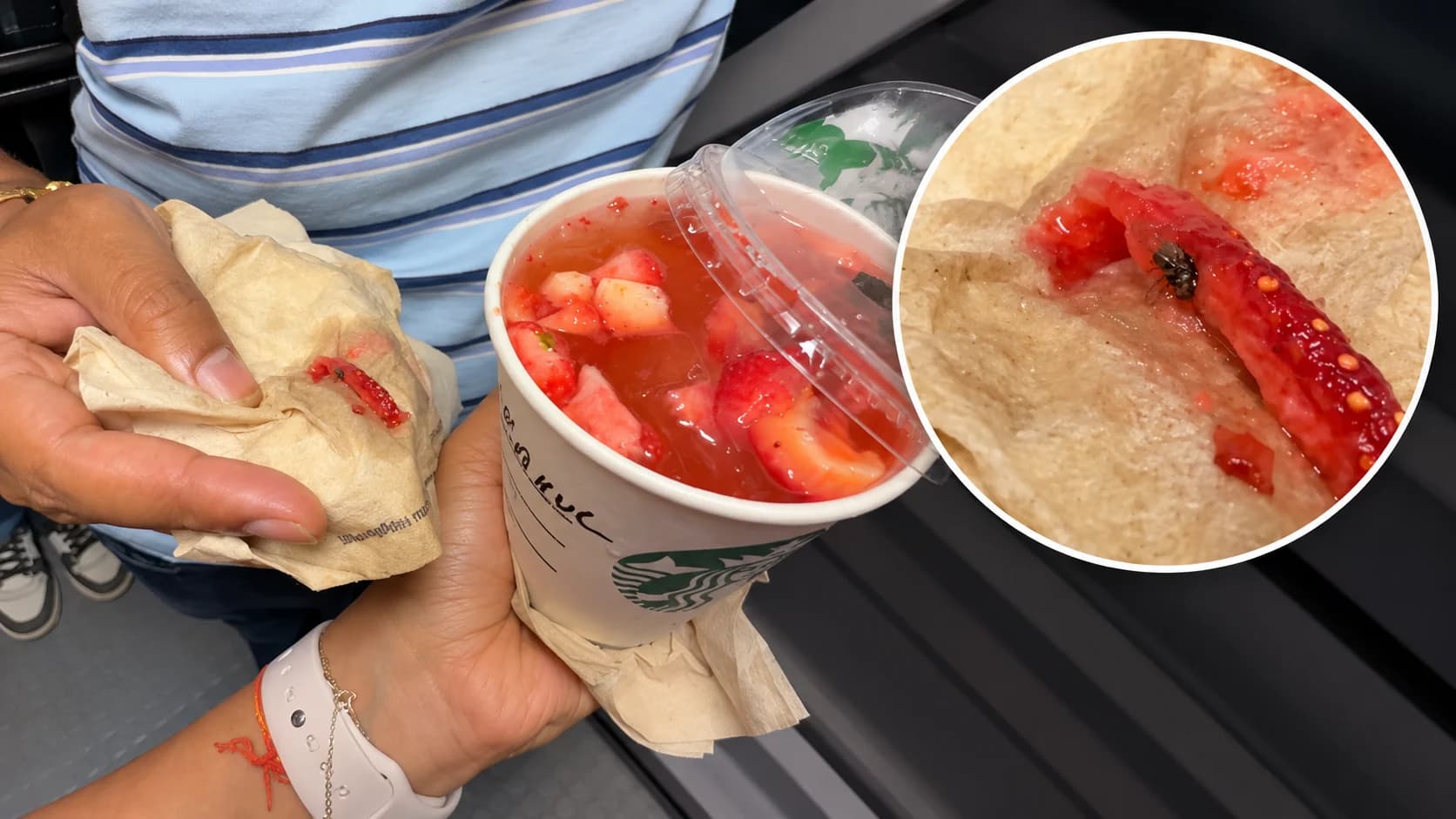 ₹500 की Starbucks Strawberry Drink में मरी मक्खी मिलने का दावा, वीडियो वायरल; कंपनी ने शुरू की जांच